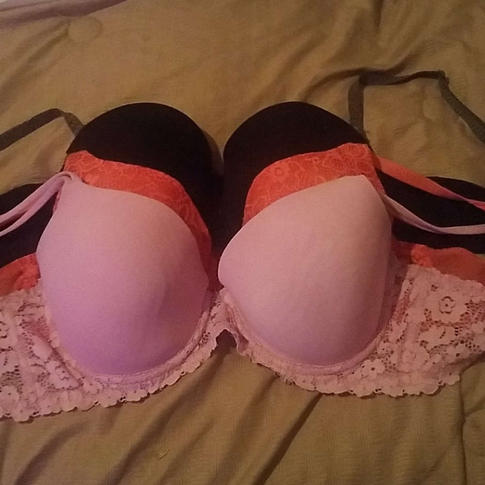 No boundaries 34 dd bra bundle of 3